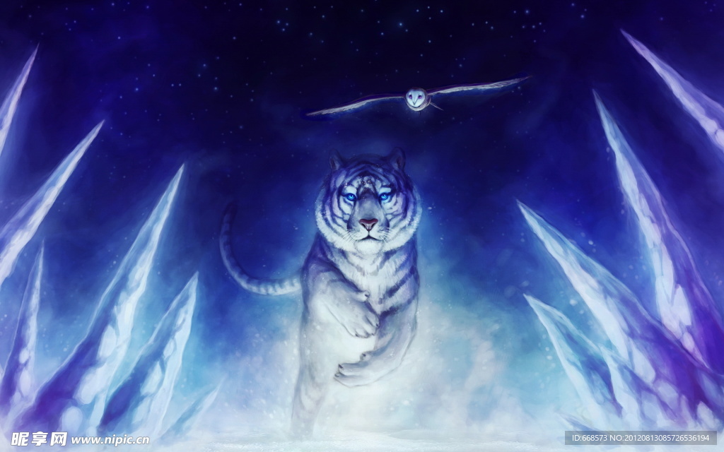 猫头鹰和老虎