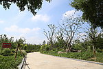 景观道