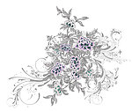 边花