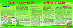 绿色校园宣传栏