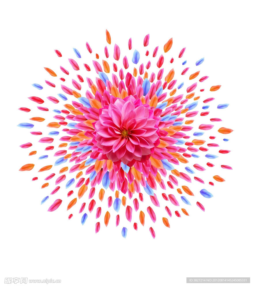 开盘拼花