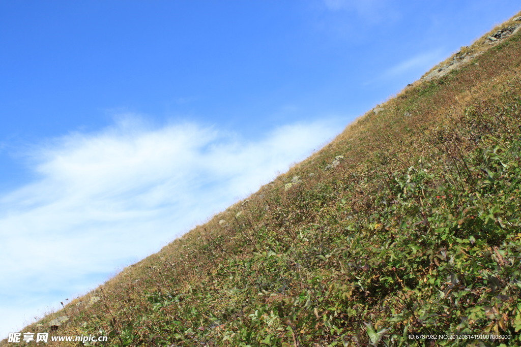 山坡风景