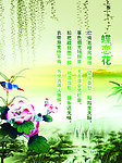 蝶恋花