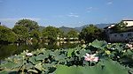 宏村南湖小景