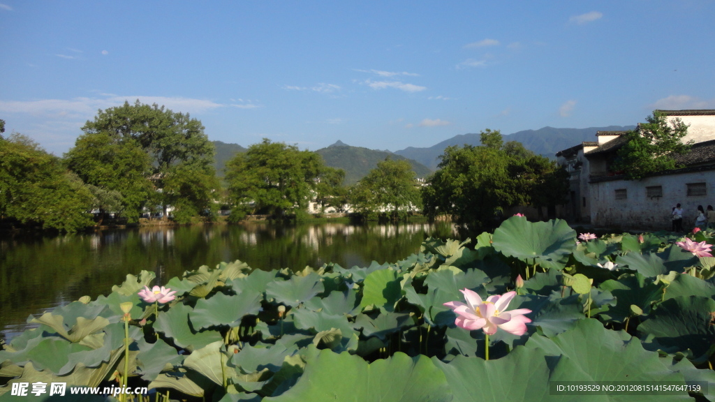 宏村南湖小景