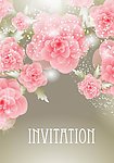 浪漫梦幻花纹花朵 花卡 婚卡 玫瑰