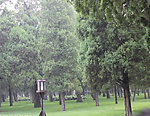 公园