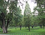 公园