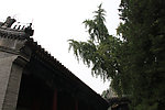 恭王府