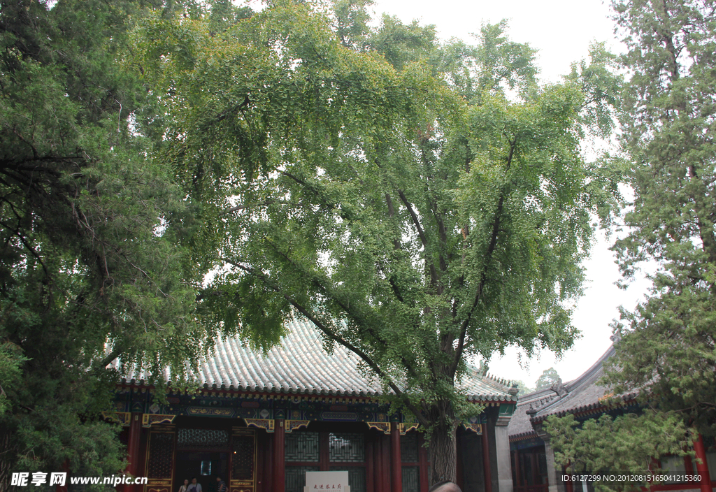 恭王府