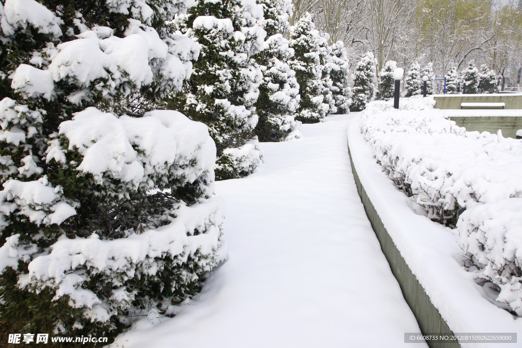 公园雪景