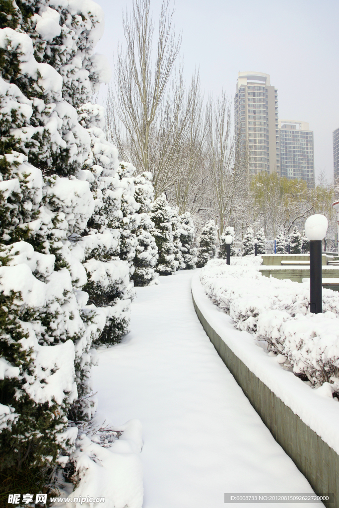 公园雪景