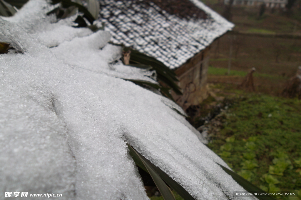 积雪 棕叶房顶