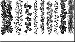 植物挂枝叶簇Ps笔刷