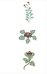清新花纹矢量图
