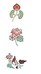 清新花纹 花边