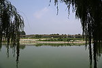 杨水渠