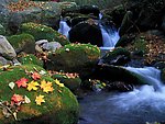 山水风景