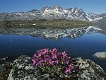 风景山水