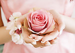 玫瑰花