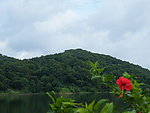 山水