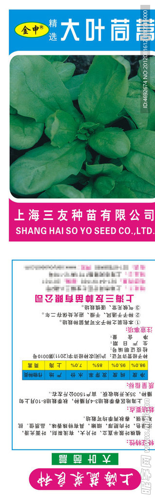 大叶茼蒿