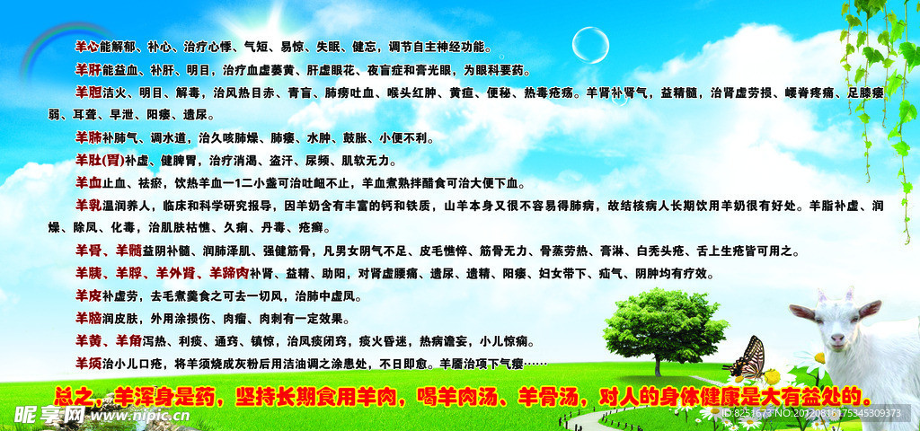 羊肉功效