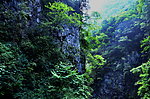 西陵风光