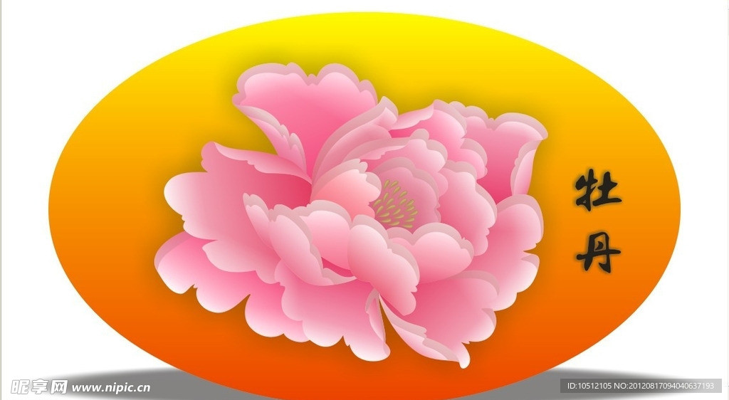 牡丹