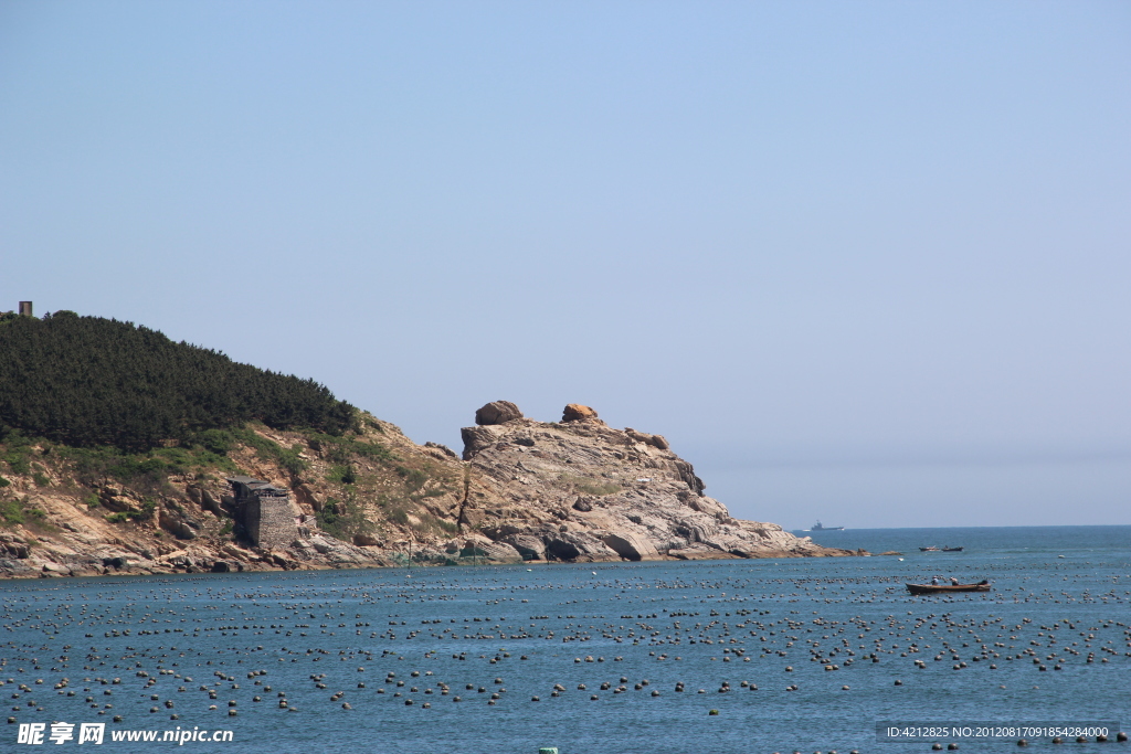 大海