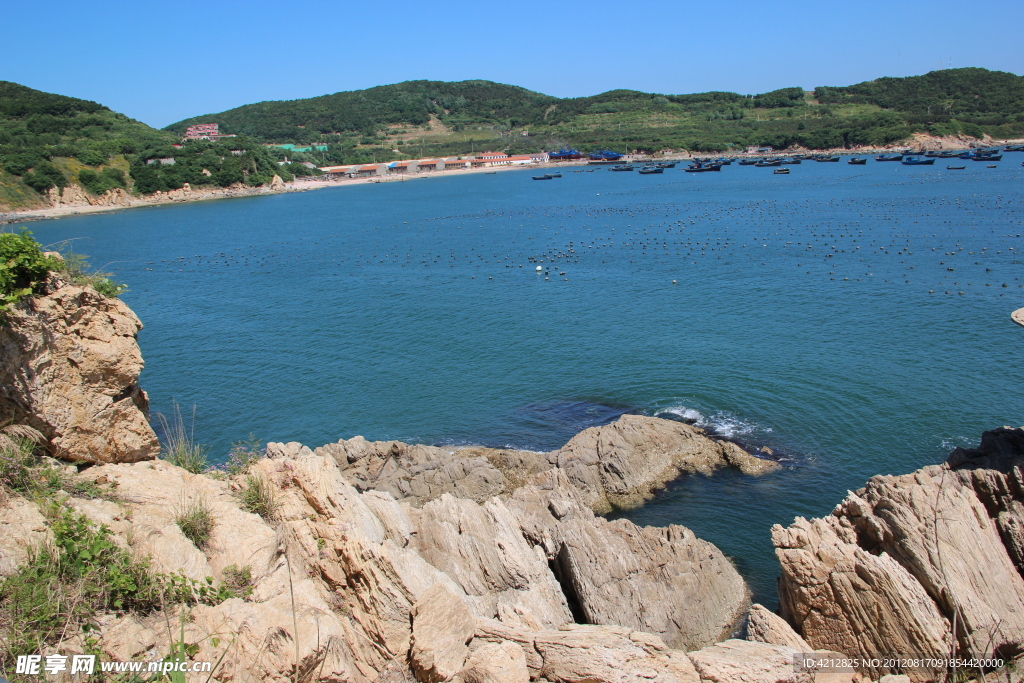 大海