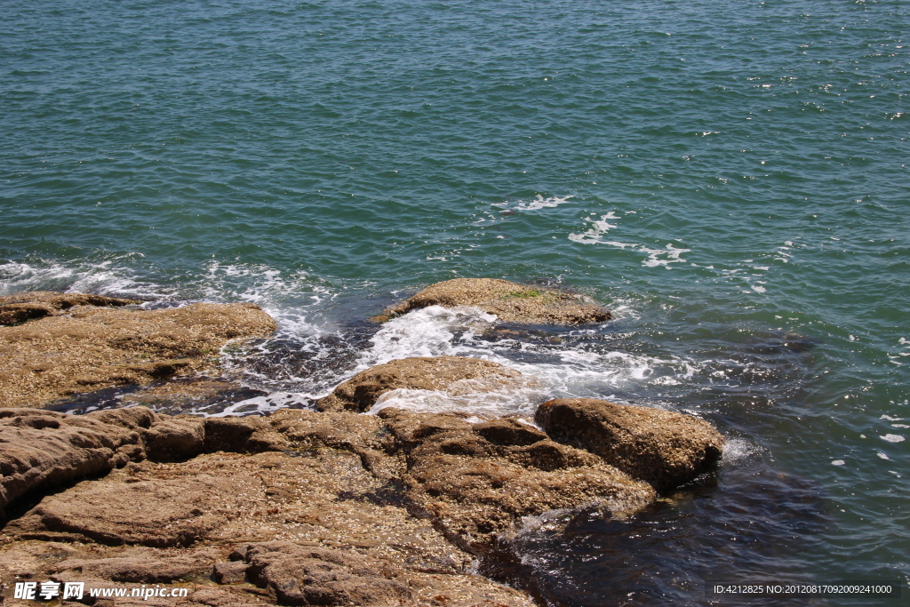 大海