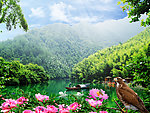 风景如画