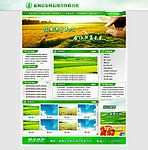 农村信用社网站模板