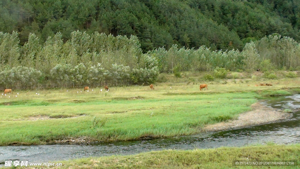 泗泊河