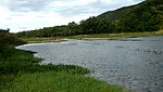 泗泊河