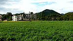 田园新居