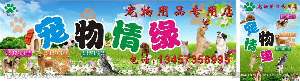 宠物情缘狗猫草地