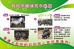 有机黑猪哺育示意图