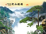 迎客松