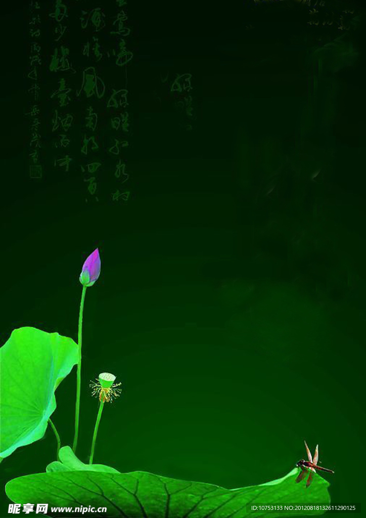 荷花