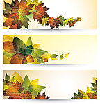 动感秋天树叶banners 横幅