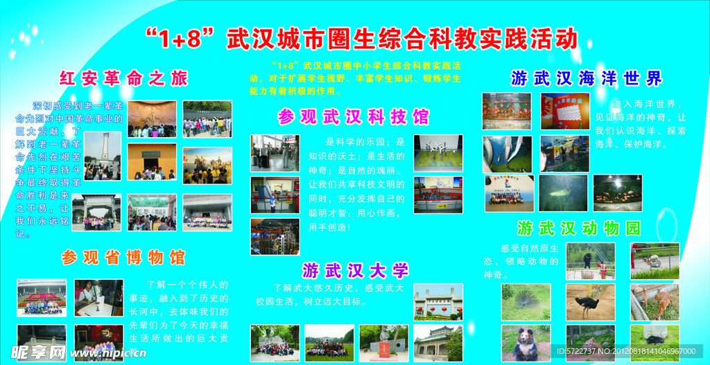 实践活动