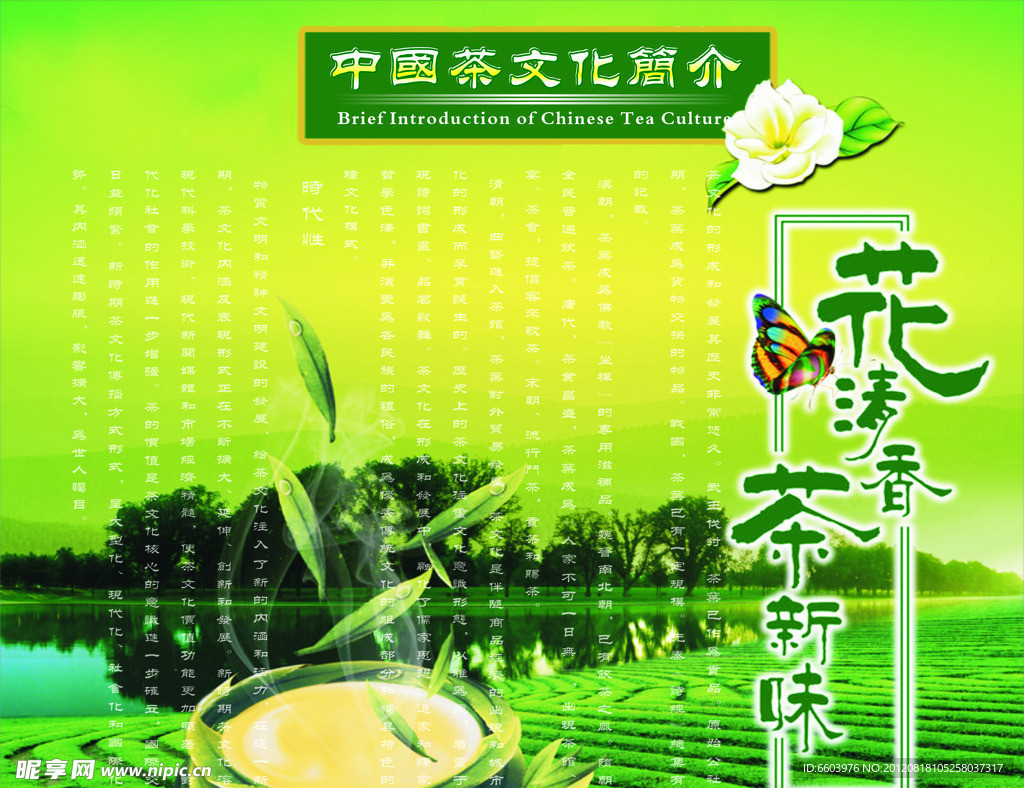 茶文化简介