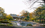 庭院