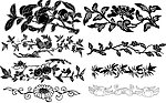 矢量 花纹 花