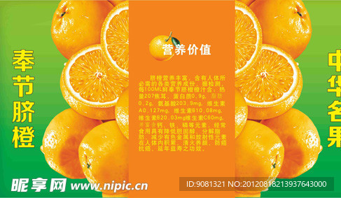 脐橙海报