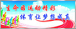 体育 篮球场