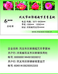 花卉名片 月季花名片