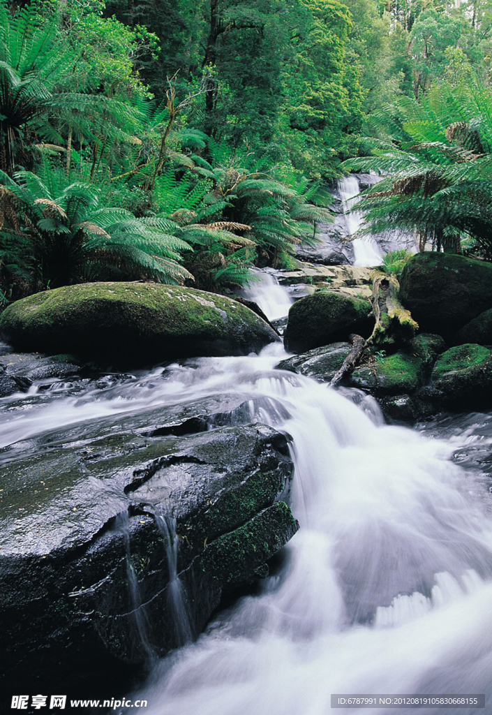 高山流水